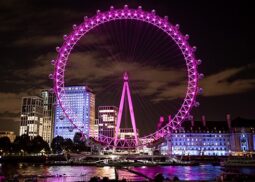 london-minibus-hire-with-driver-london-eye